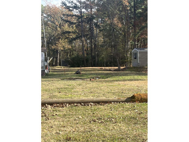 There are 3 lots 2 on Barham and 1 on Ann Loop. Owner will - photo 1