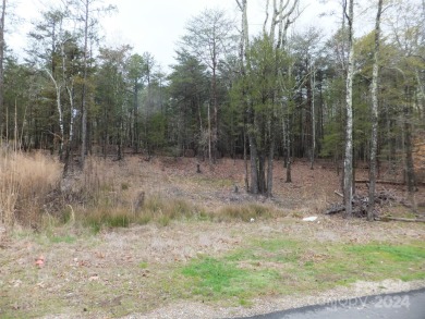 Lake Wylie Lot For Sale in Charlotte North Carolina