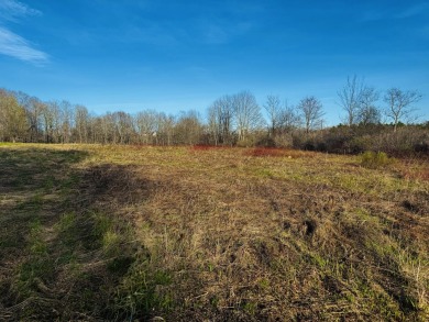 Lake Acreage For Sale in Saint Albans, Maine