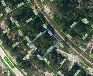 Lake Grassy Lot For Sale in Lake Placid Florida