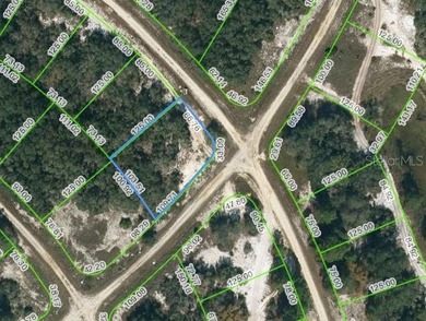 Lake Grassy Lot For Sale in Lake Placid Florida