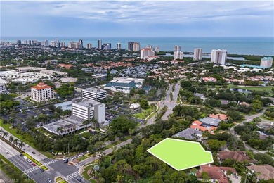 Rare 1-Acre Pelican Bay Estate Lot - The Ultimate Family - photo 2