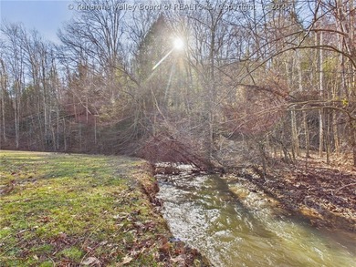 Set on 1.25 private acres, this 3,204-square-foot home offers - photo 47