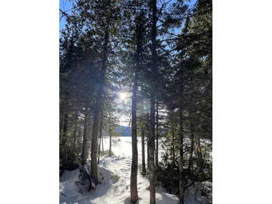 Here is a beautiful 2+ acre lot with 330 feet of frontage on - photo 22