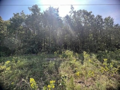 Table Rock Lake - Carroll County Lot For Sale in Holiday Island Arkansas