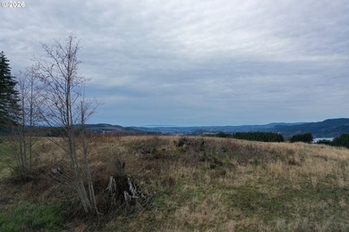 (private lake, pond, coastal) Acreage For Sale in Mossyrock Washington