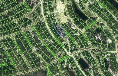 Lake Grassy Lot For Sale in Lake Placid Florida