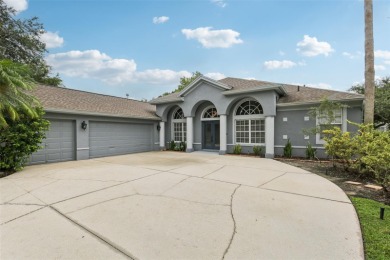 Lake Home For Sale in Tampa, Florida