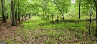 (private lake, pond, creek) Acreage For Sale in Locust Grove Georgia