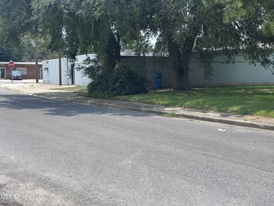 Look at this opportunity! Two lots, a commercial one that is - photo 1
