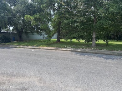 Look at this opportunity! Two lots, a commercial one that is - photo 3