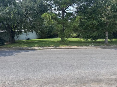 Look at this opportunity! Two lots, a commercial one that is - photo 4