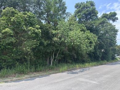 Look at this opportunity! Two lots, a commercial one that is - photo 5