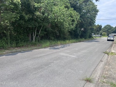 Look at this opportunity! Two lots, a commercial one that is - photo 7