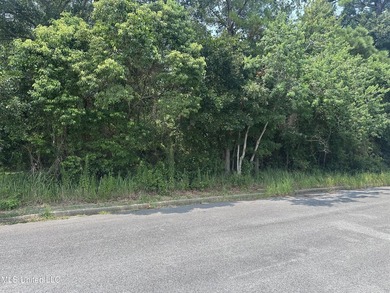 Look at this opportunity! Two lots, a commercial one that is - photo 8