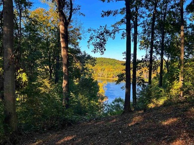 Discover lakeside living at its finest with Hoosier Lake House! - photo 4