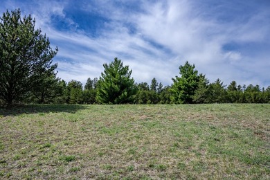 Build your dream lake home in Copper Point, one of the best - photo 9