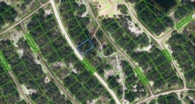 Lake Grassy Lot For Sale in Lake Placid Florida