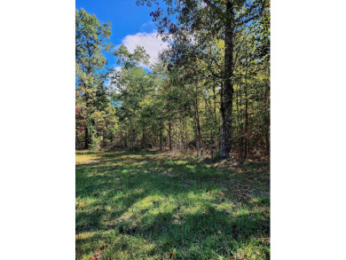 Long Branch Lake Lot For Sale in Spencer Tennessee