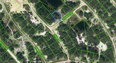 Lake Grassy Lot For Sale in Lake Placid Florida