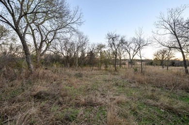 (private lake, pond, creek) Acreage For Sale in Springtown Texas