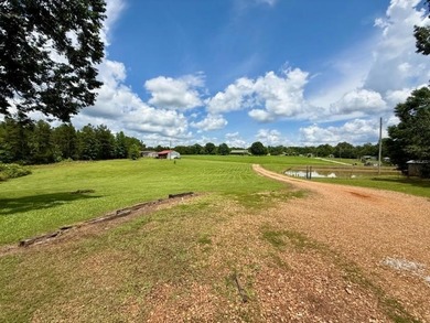Enjoy the peace and privacy of rural living with this - photo 24