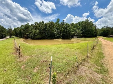 Enjoy the peace and privacy of rural living with this - photo 28