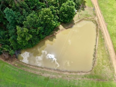 Enjoy the peace and privacy of rural living with this - photo 33