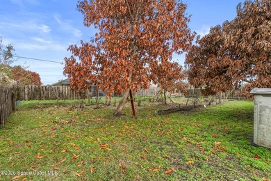BACK ON MARKET! NEW A/C, WATER HEATER! NEW ELECTRICAL PANEL! - photo 39