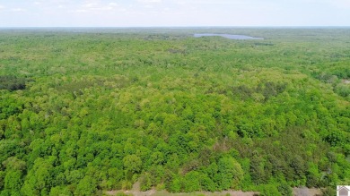 Rare find!  Beautiful 100-acre property in Southeast Calloway - Lake Acreage For Sale in Murray, Kentucky
