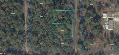 A DOUBLE VACANT LOT IN WILLISTON IN LEVY - photo 1