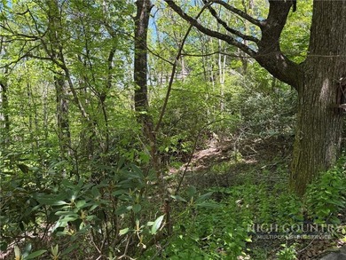Great opportunity to build your dream home in the sought-after - photo 11