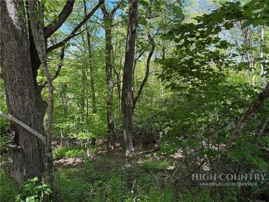 Great opportunity to build your dream home in the sought-after - photo 12