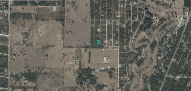 A DOUBLE VACANT LOT IN WILLISTON IN LEVY - photo 3