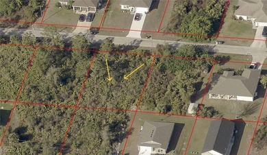 Lehigh Acres Area Lot Sale Pending in Lehigh Acres Florida