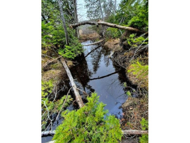 Lake Acreage For Sale in Oakfield, Maine