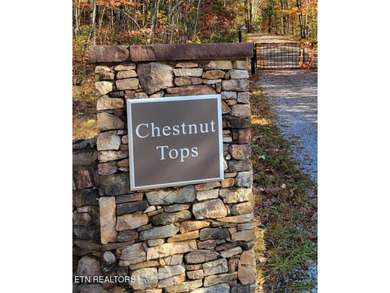 Lake in the Sky Acreage Sale Pending in Tallassee Tennessee