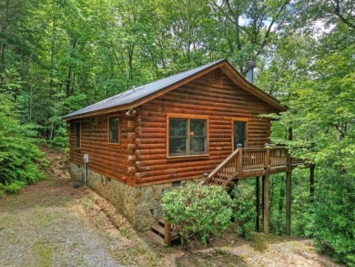 Lake Home For Sale in Blue Ridge, Georgia