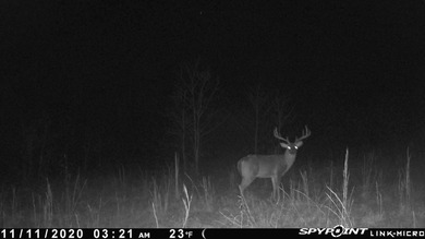 (private lake, pond, creek) Acreage For Sale in Williford Arkansas