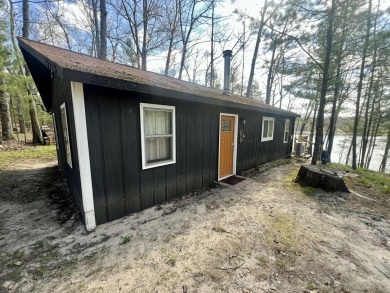 Lake Home For Sale in Baldwin, Michigan