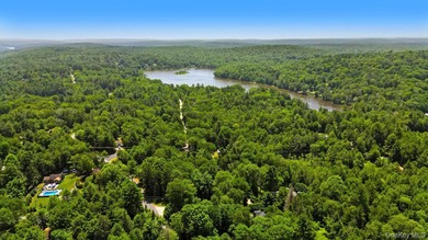 Escape to the beauty of the Catskills at this Mountain Lake - photo 6