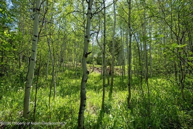 The last remaining vacant lot in the Riverside neighborhood! - photo 11