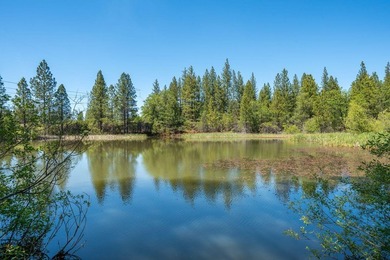 Outdoor Paradise! Imagine yourself here! A large, private, 2+ - photo 33