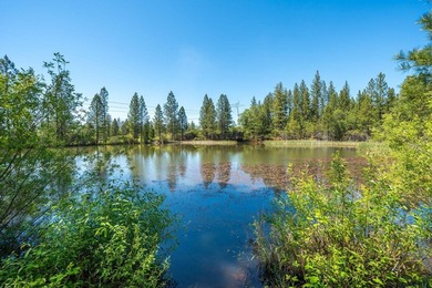 Outdoor Paradise! Imagine yourself here! A large, private, 2+ - photo 34