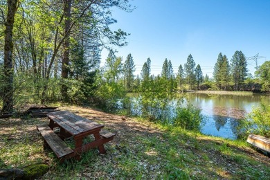 Outdoor Paradise! Imagine yourself here! A large, private, 2+ - photo 35