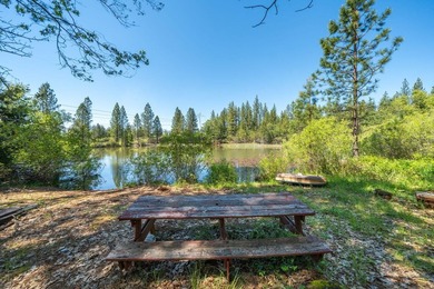 Outdoor Paradise! Imagine yourself here! A large, private, 2+ - photo 36