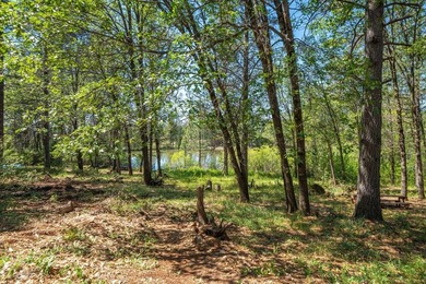 Outdoor Paradise! Imagine yourself here! A large, private, 2+ - photo 42