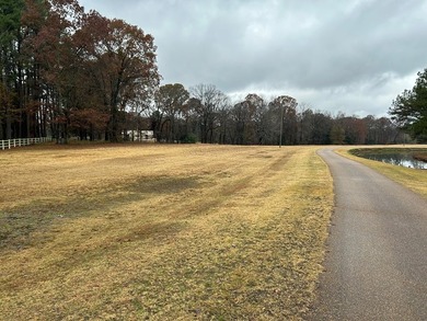 Luxurious Mansion in a country setting with all the EXTRAS !! - photo 43