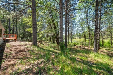 Outdoor Paradise! Imagine yourself here! A large, private, 2+ - photo 43