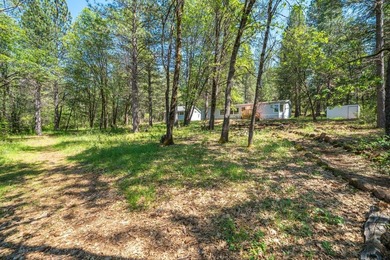 Outdoor Paradise! Imagine yourself here! A large, private, 2+ - photo 45